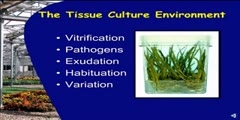 Tissue Culture Part I