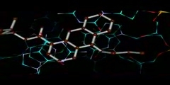 DNA - acridine complex structure