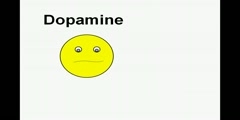 Effect of Cocaine on human Brain