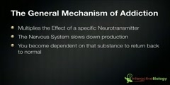 Addiction of Drugs Mechanism