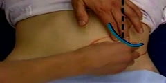 Spleen Palpation methods