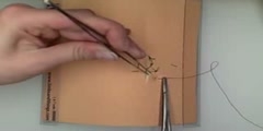 Suturing - The Vertical Mattress