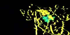 Structure and Function of Cytochrome