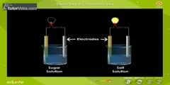 Identifying Electrolytes And Non Electrolytes