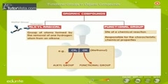 Organic Compounds And Their Functional Groups