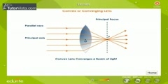 Different Types of Lenses