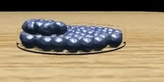 Mitosis  nice animation