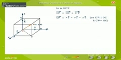 Points In Space For Vector Positions