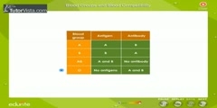 Compatibility of Blood Groups