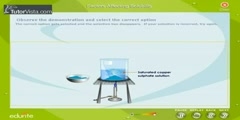 Factors Affecting Solubility