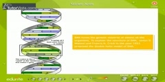 Bio molecules in Living Organisms