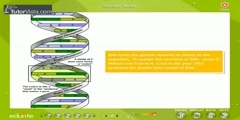 Living Organisms And Bio Molecules