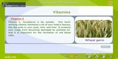 The Importance Of Vitamins