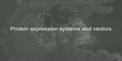 Protein Expression and Proteomics