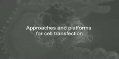 Transfection Methods