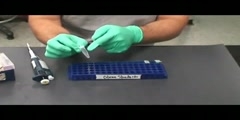 Restriction digestion in DNA marker creation