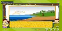 Demonstration of Carbon cycle