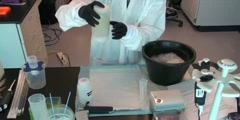 Extraction and purification of DNA
