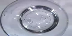 Zero Gravity Water Droplets