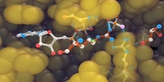 ATP Synthase - Part V