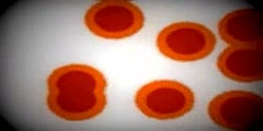 Stimulated cell division