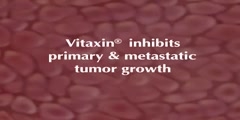 Vitaxin