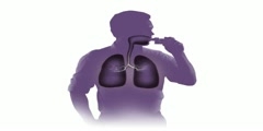 Medical animation and visualization of inhaler  lungs