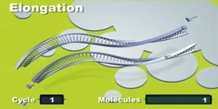 PCR and Real-time PCR