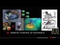 Lec 21 - TEDxCaltech - Tony Hey - Feynman and Computation