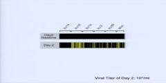 Talks  Joe DeRisi: Hunting the next killer virus