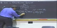 Recombinant DNA Lecture 1