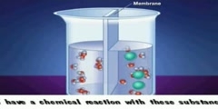 How Osmosis Work