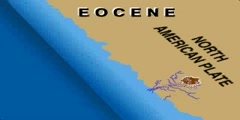Geology balena fan