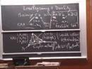 Lec 28- MIT 18.086 Mathematical Methods for Engineers II