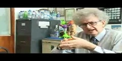 Ununpentium - Periodic Table of Videos