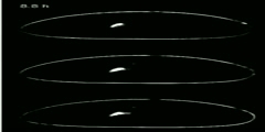 Drosophila embryogenesis/pole cell migration