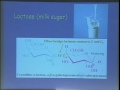 Lec 21- Chemistry 1A - Fall 2010