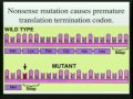 Lec 20- Microbes, Viruses, Bacteria, Plasmi