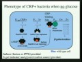 Lec 19- Chemistry 1A - Fall 2010