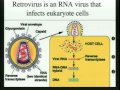 Lec 22- Gene Structure and Regulation in Eu