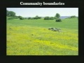 Lec 6- Community Ecology