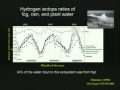 Lec 9- Ecosystem Ecology 2