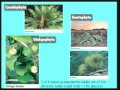 Lec 32- Angiosperm life cycle and diversity