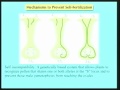 Lec 33- Angiosperm pollination, dispersal a