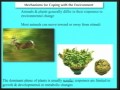 Lec 39- Plant hormones and growth regulatio