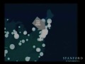 Lec 7 - Not Invented Here: Online Mapping Unraveled