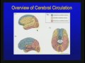 Lec 13 - Vascular Disorders of the Central Nervous System
