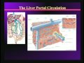 Lec 17 - How the Gastrointestinal System Works and Goes Awry