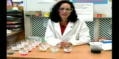 Chemistry Lesson: Ph Tests for Acids & Bases : Chemistry Ph