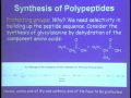 Lec 4 - Chemistry 3B Amino Acids, Peptides, and...